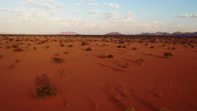 WS雄伟的沙漠景观，纳米比亚，非洲
