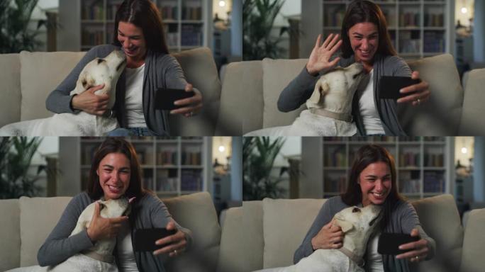 一名妇女与拉布拉多犬狗坐在沙发上的肖像，使用智能手机并进行视频通话。年轻女性在搬家后与家人和朋友保持