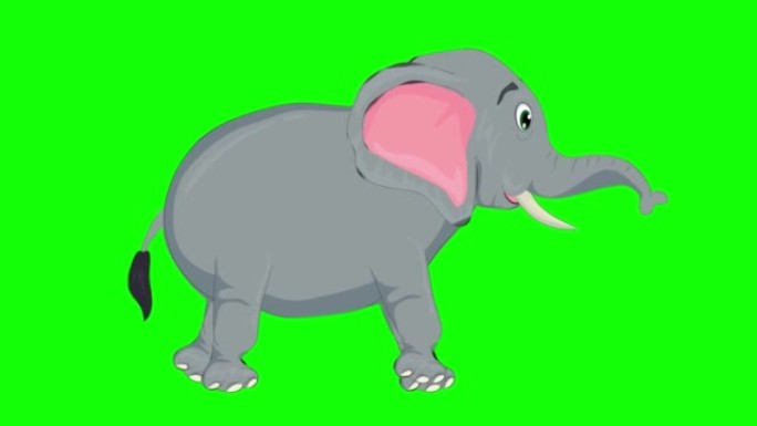 在绿色屏幕上运行可爱的大象慢动作动画。动物，野生动物，游戏，返校，3d动画，电影，有机，色键，人物动