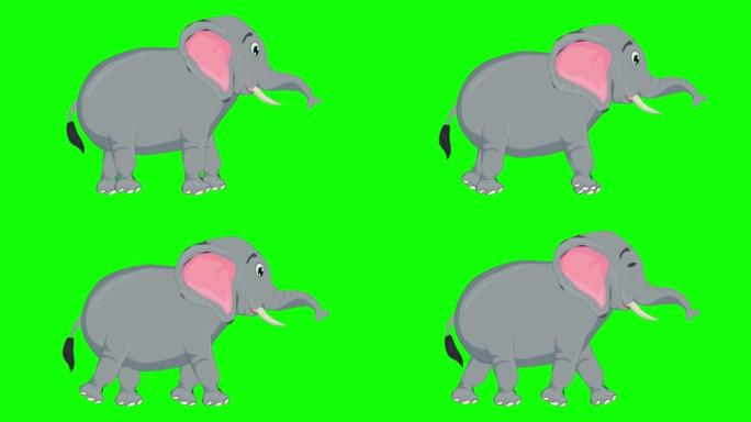 在绿色屏幕上运行可爱的大象慢动作动画。动物，野生动物，游戏，返校，3d动画，电影，有机，色键，人物动