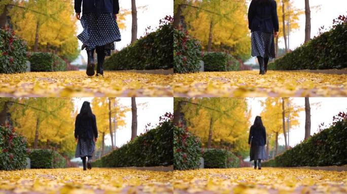女人在秋天公园的黄叶上行走