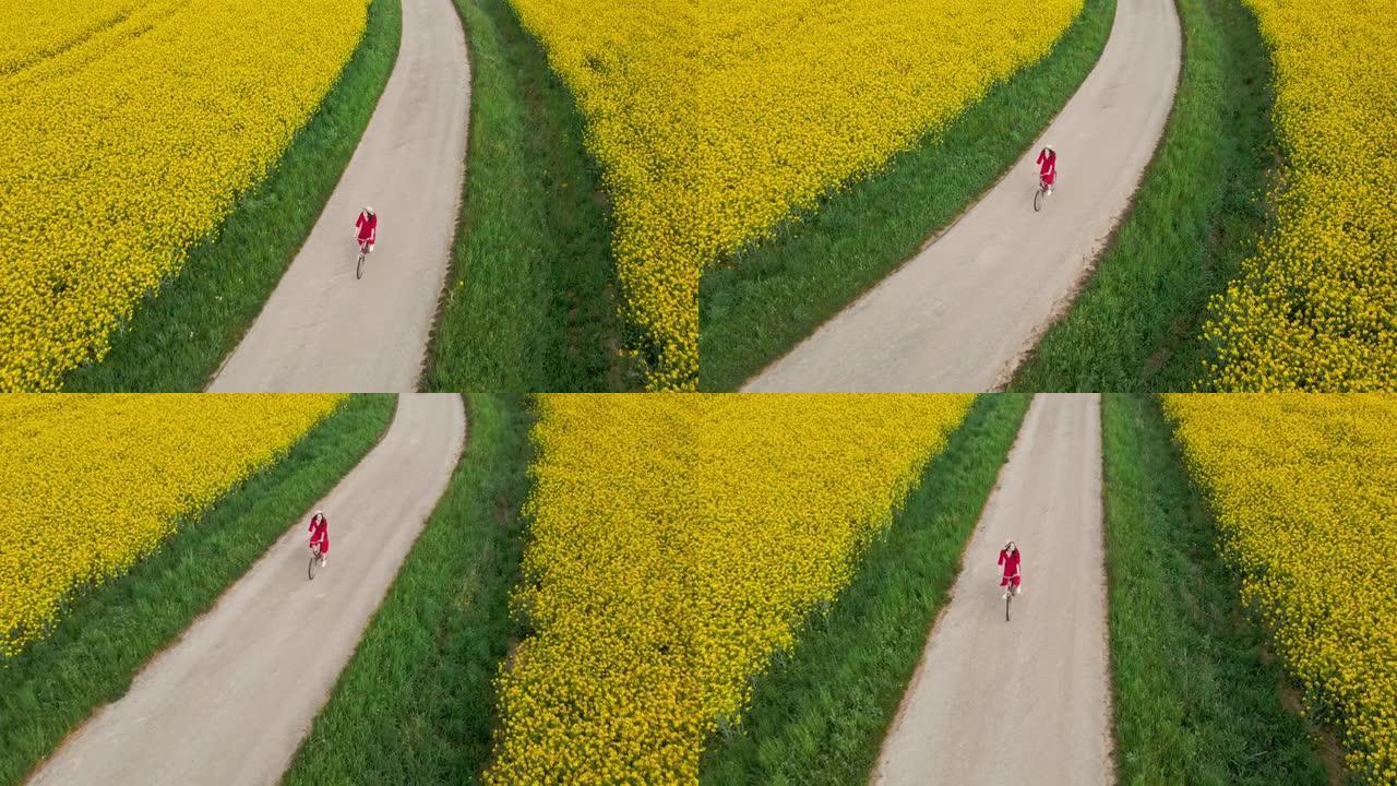 无人机跟踪拍摄到一位无法辨认的黑发女性骑着自行车穿过一片郁郁葱葱的黄色金鱼花