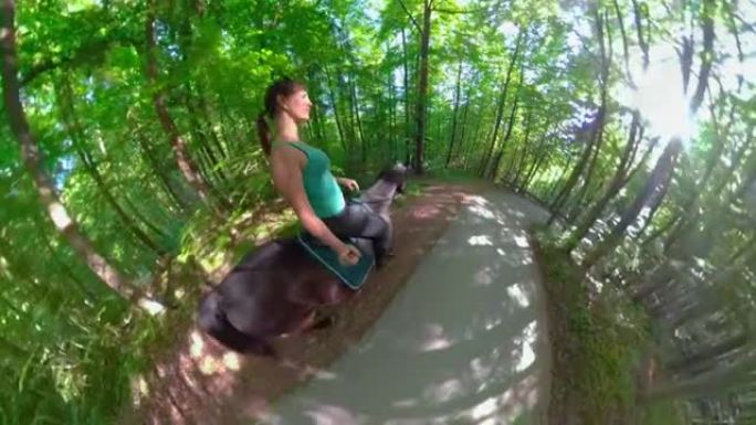 自拍照: 女人带领她的马沿着一条柏油路穿过森林。