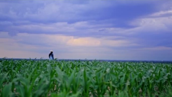在一个阴天的夜晚，留着棕色长发，帽子和工作服的农夫妇女走过她的农业玉米田，相机跟随她