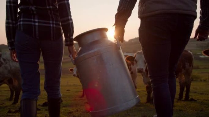 SLO MO夫妇在牧场上携带一桶牛奶