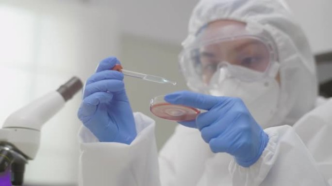 科学家将血样从移液管转移到实验室的显微镜载玻片上