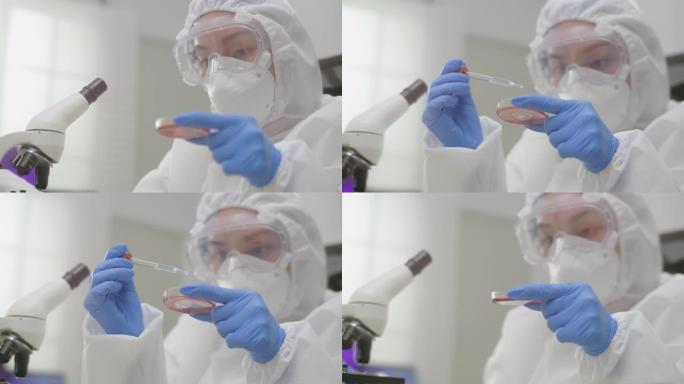 科学家将血样从移液管转移到实验室的显微镜载玻片上