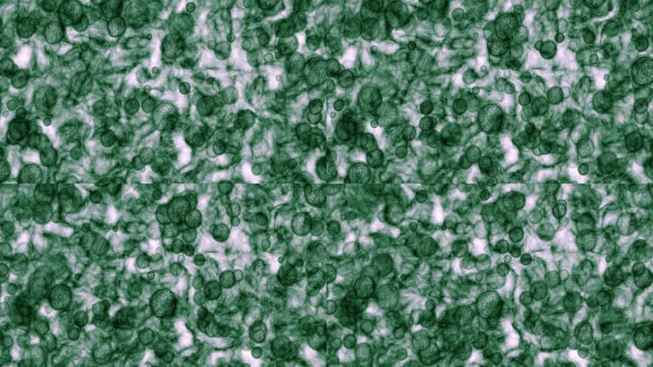 显微镜病毒，细菌和粒子缩放在实验中缓慢移动在白色背景上。微生物在DNA保健绿色细胞，微生物保健治疗微