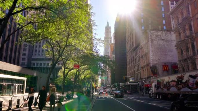 阳光和绿色的纽约街。