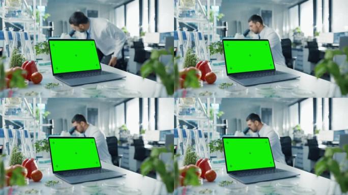 在科学环境中，带有绿屏模型的笔记本电脑显示在桌子上。微生物学家在一个拥有技术设备的明亮的现代食品实验