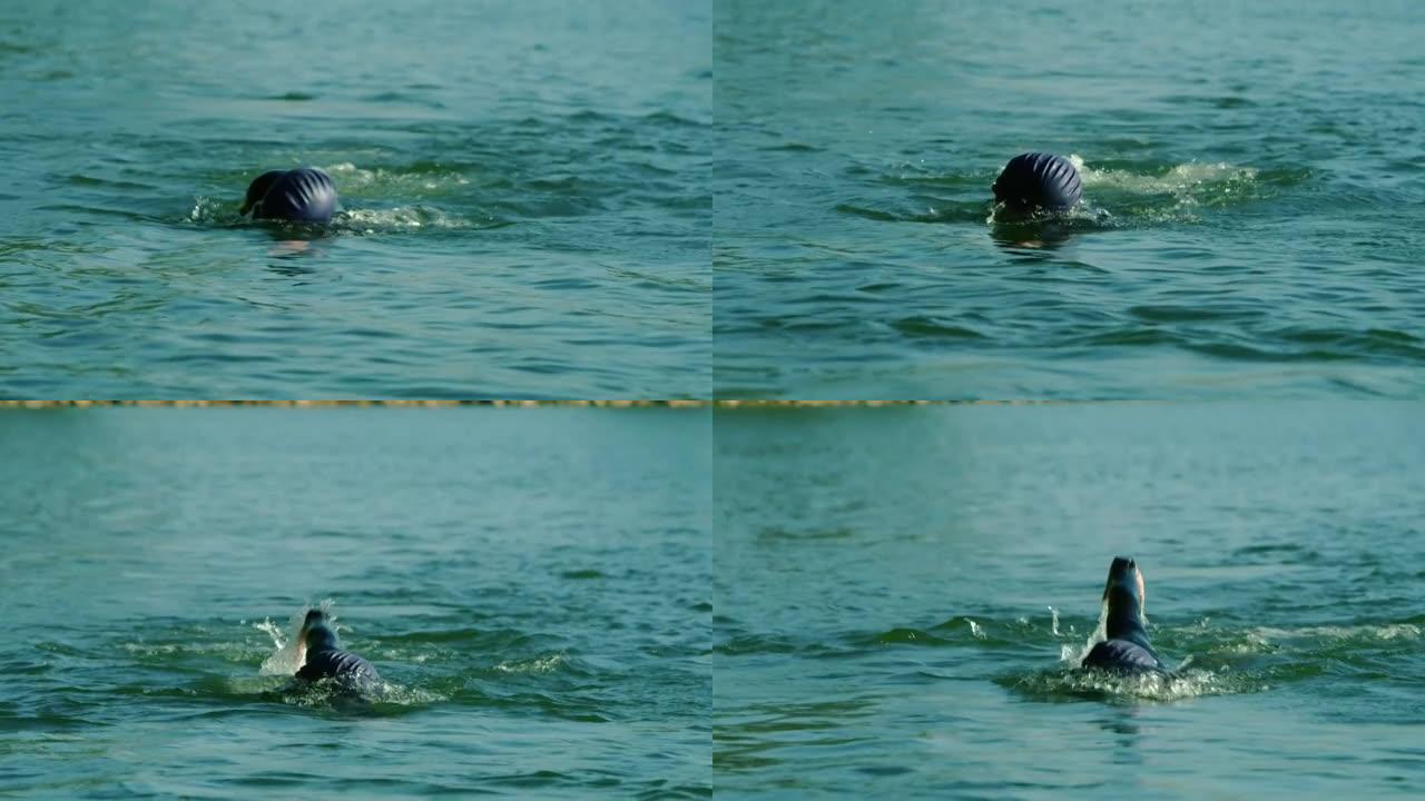 男子在湖中游泳海水锻炼运动