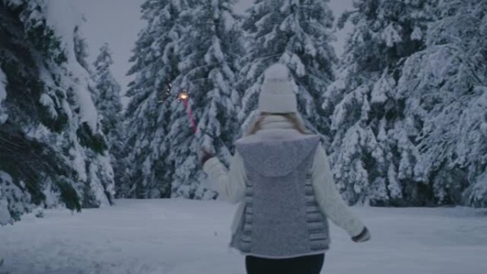 女人在雪地上闪闪发光的女人的后视图