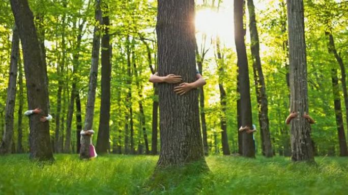 SLO MO人在森林中拥抱树干