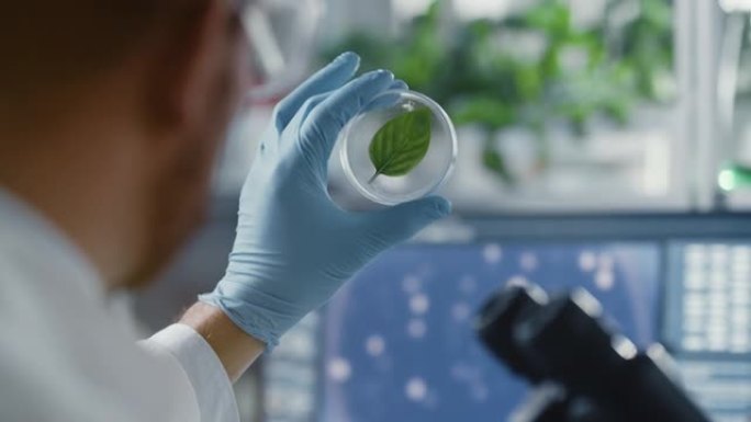 英俊的男性微生物学家看着健康的绿叶样本。在拥有先进技术显微镜和计算机的现代食品科学实验室工作的医学科