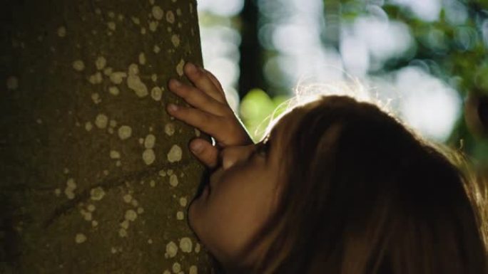 SLO MO金发小女孩在阳光明媚的森林中拥抱一棵树