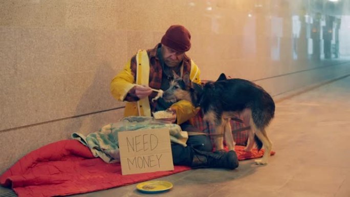 一个无业游民坐在地上喂狗