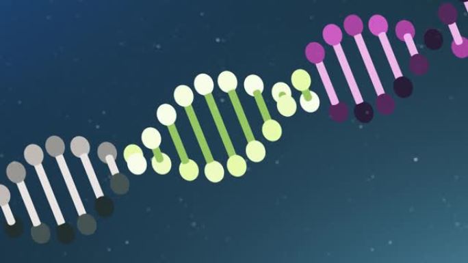 遗传DNA结构MG动画DNA动画旋转
