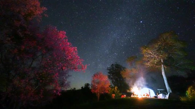 银河系和星星，天空中的星系在粉红色的花朵区域，晚上在山上露营帐篷