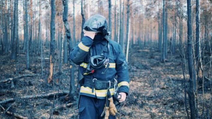 穿着安全服的消防员站在烧毁的森林中