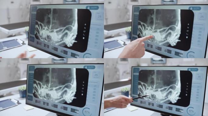 用宠物乌龟x光扫描关闭兽医诊所在线医疗数据库软件的电脑屏幕。两名兽医讨论工作，指着显示器并打手势