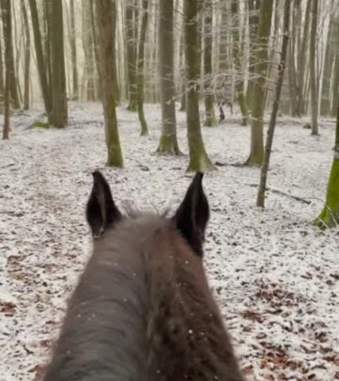 垂直: 第一人称拍摄，骑一匹深棕色的马穿过白雪皑皑的森林。