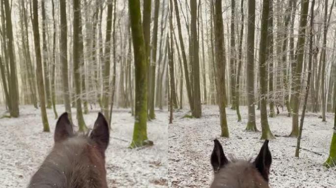 垂直: 第一人称拍摄，骑一匹深棕色的马穿过白雪皑皑的森林。