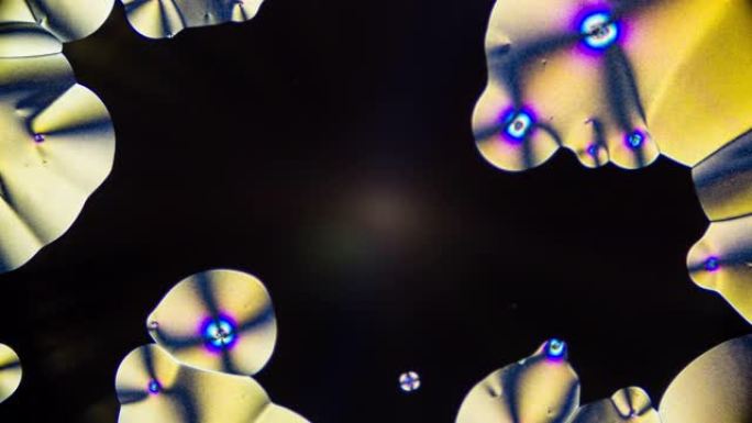 显微镜下维生素c晶体