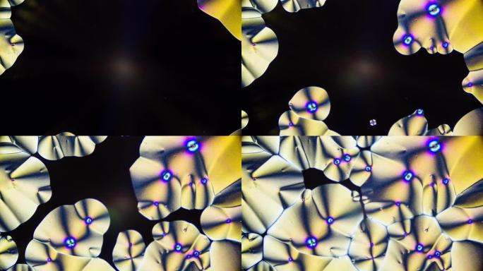 显微镜下维生素c晶体