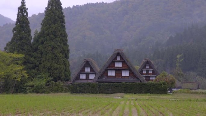 日本岐阜白川村。Shirakawa-go是联合国教科文组织世界遗产和国家地标