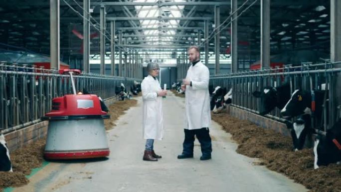Cowshed与两名农场工人在机器人饲料推进器旁边交谈