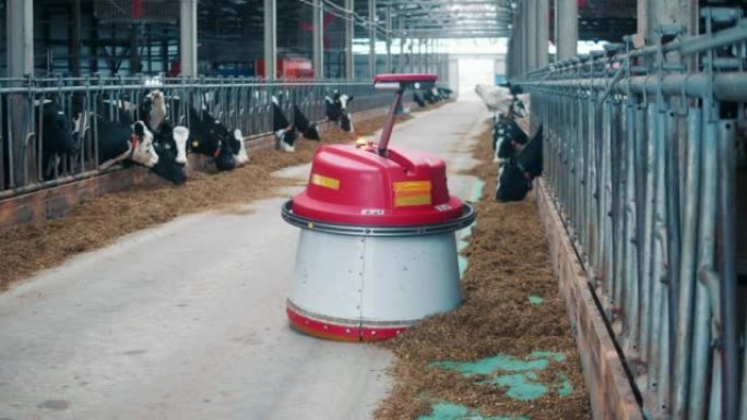 机器人将干草推到靠近奶牛的地方