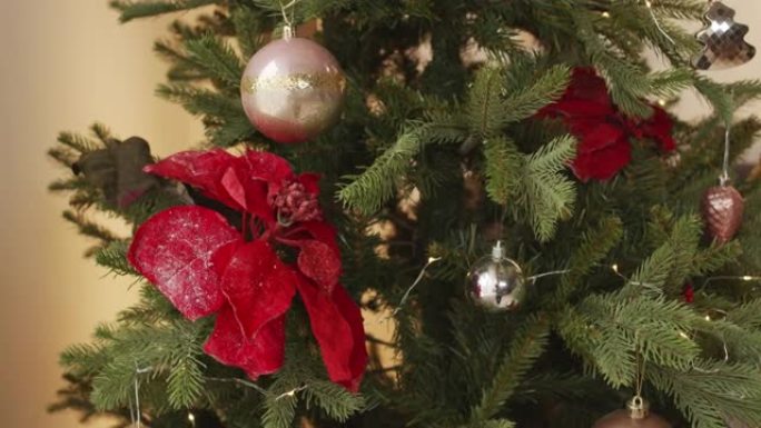 装饰圣诞树的特写朋友聚餐聚会温馨和谐氛围