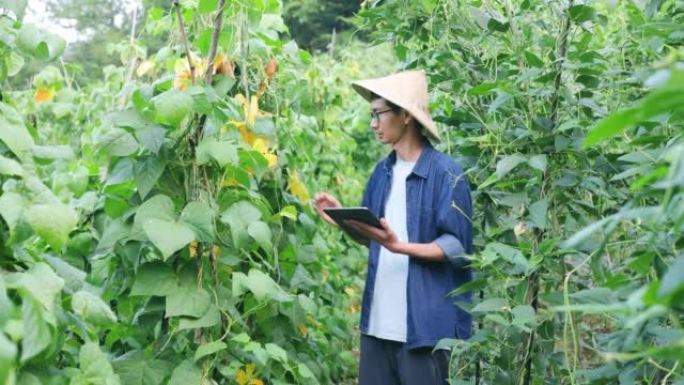 亚洲现代农民记录蔬菜作物的生长