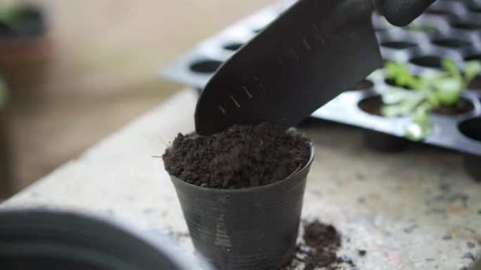使用园艺铲子将土壤添加到小种植盆中的两枪