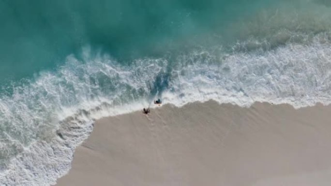 一对浪漫的情侣走进冲浪，在热带岛屿的绿松石海中游泳的直线鸟瞰图