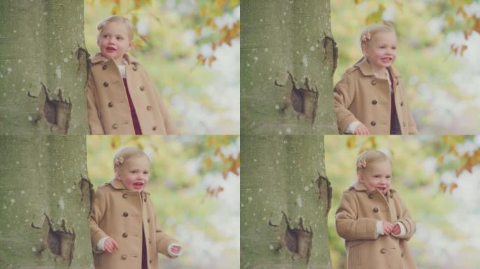 年轻女孩环顾秋树的树干在花园里捉迷藏