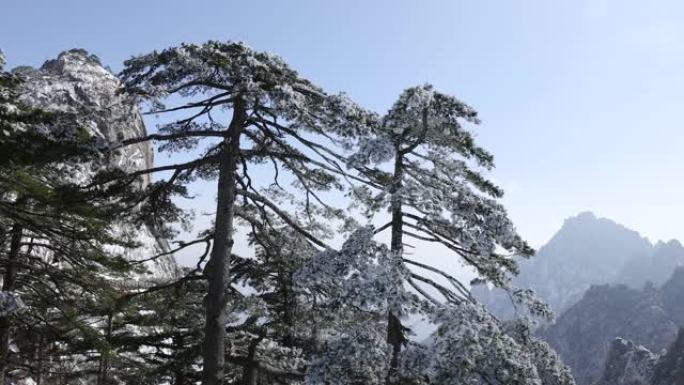 中国黄山冬季景观旅游度假游玩景区