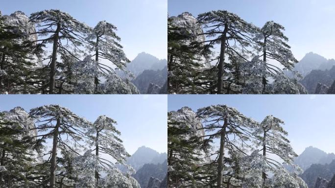 中国黄山冬季景观旅游度假游玩景区