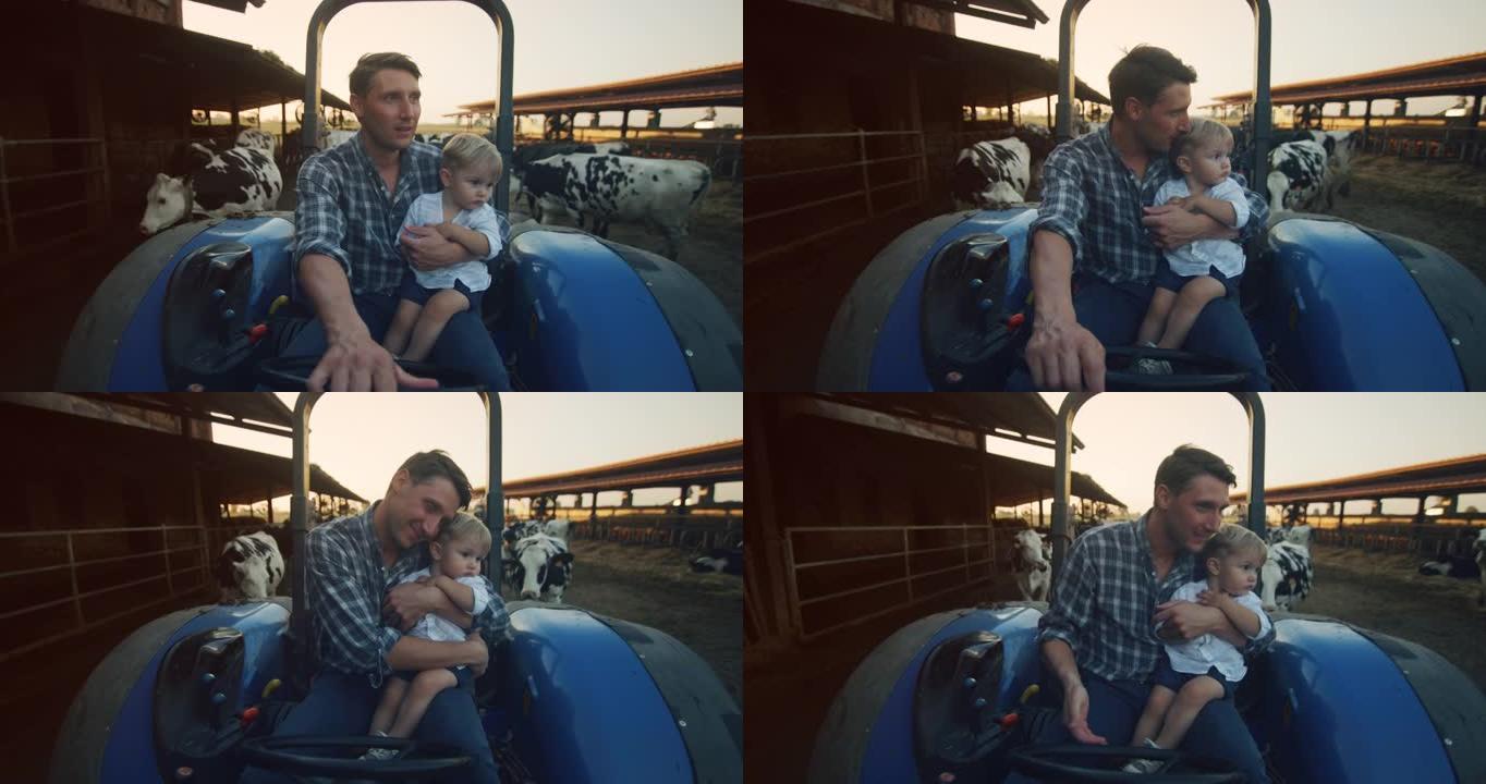 快乐农民父亲的真实镜头正在和他的小儿子一起驾驶拖拉机，并展示了一个拥有生态奶牛的家庭奶牛场。概念: 