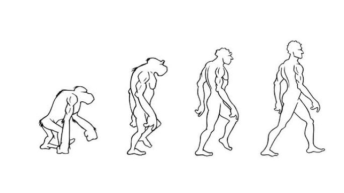人类进化。4个阶段。阿尔法哑光。可循环。