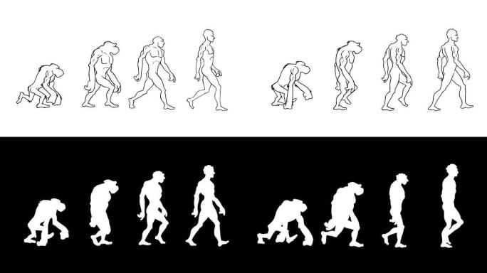 人类进化。4个阶段。阿尔法哑光。可循环。