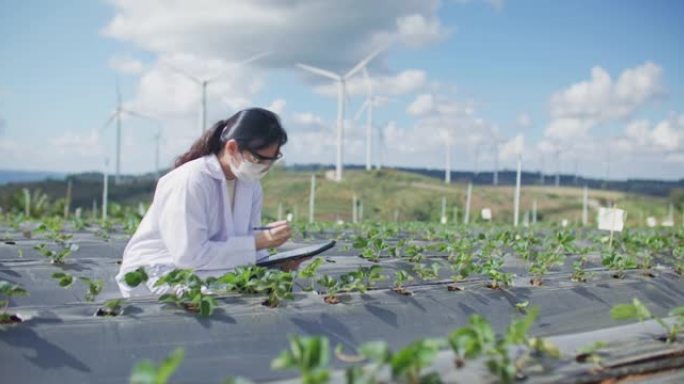 科学家对她农场的植物进行分析