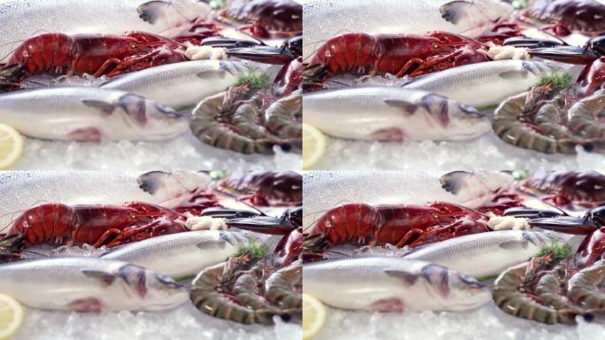 FHD慢动作: 各种豪华的新鲜海鲜，龙虾鲑鱼鲭鱼小龙虾对虾章鱼贻贝和扇贝，在冰的背景下与冰的冷冻烟雾