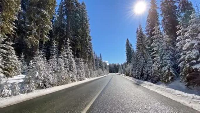 穿越雪白森林的雪乡公路上的驾驶视点