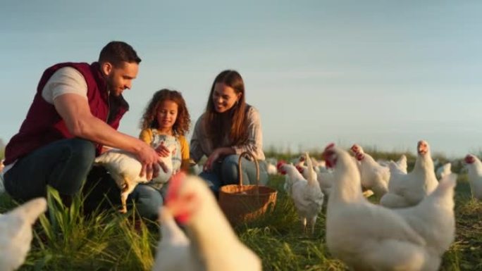 农场、家庭和鸡肉，有一个女孩、母亲和父亲在家禽养殖业工作。农业，可持续性和与女人，女儿和男人在户外做