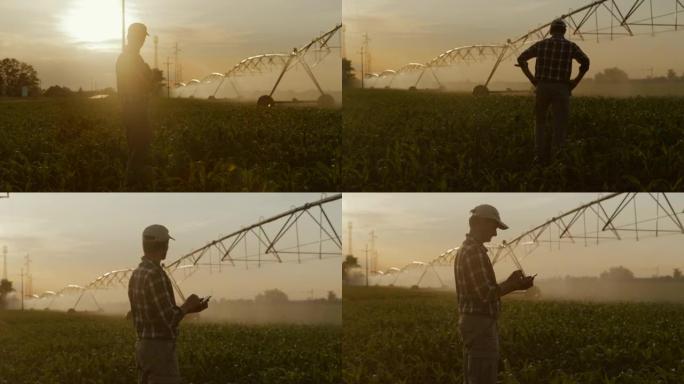 一名农民用他的智能手机控制玉米地里的农业喷洒器