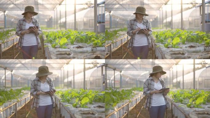 使用数字平板电脑检查和监控有机蔬菜农产品的年轻女农民