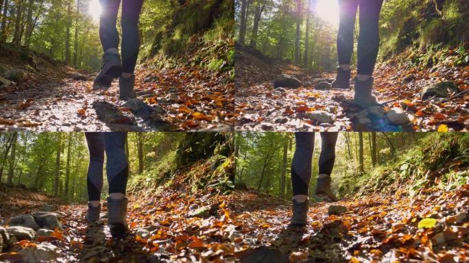 低角度: 远足女孩在阳光明媚的秋天沿着一条空旷的森林小径行走。