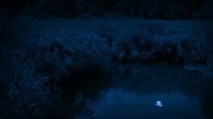 在有风的夜晚沼泽，月亮的倒影