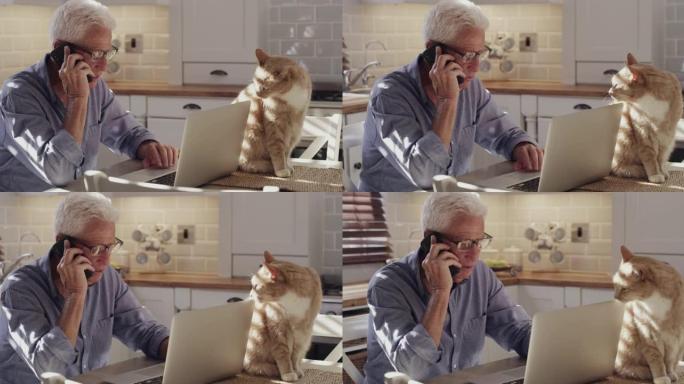 4k视频片段，一个无法识别的男人带着猫坐在家里的厨房里，使用技术